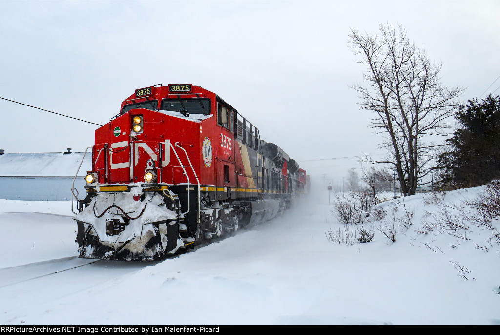 CN 3875 close-up